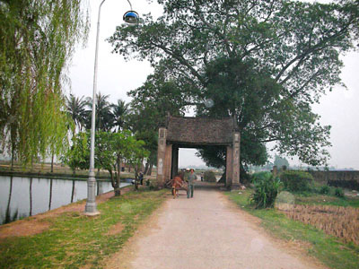 Experts support nominating Duong Lam as world cultural heritage